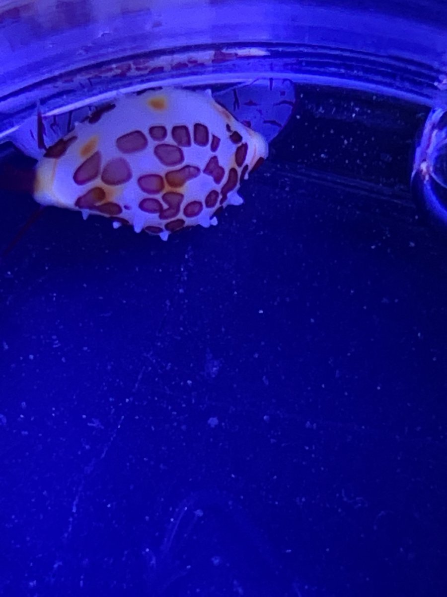 IMG_2898.jpeg