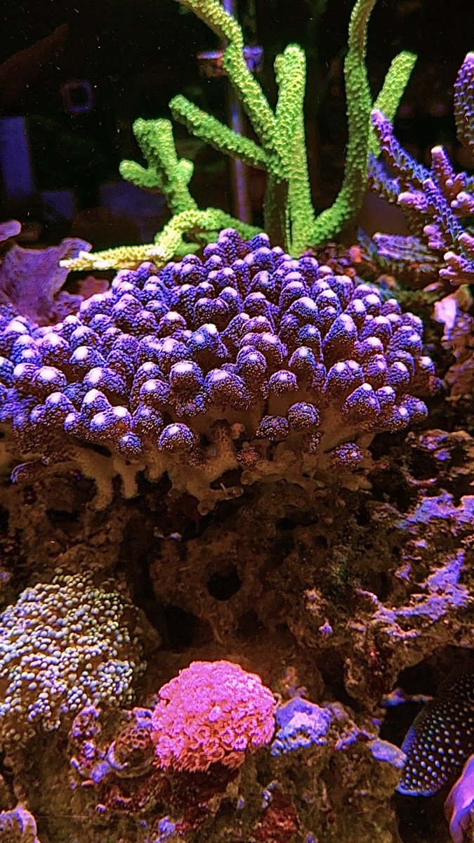 IMG_2898.jpeg