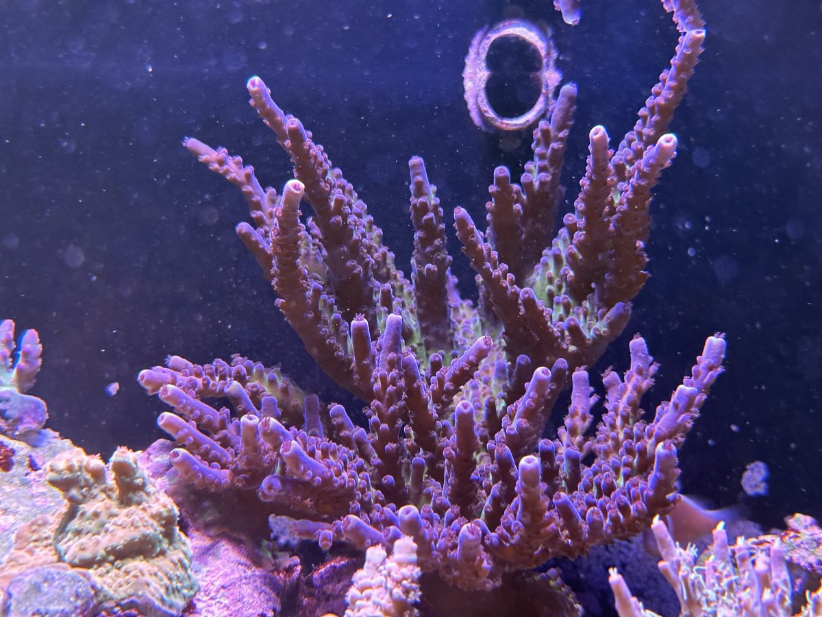 IMG_2900.jpeg