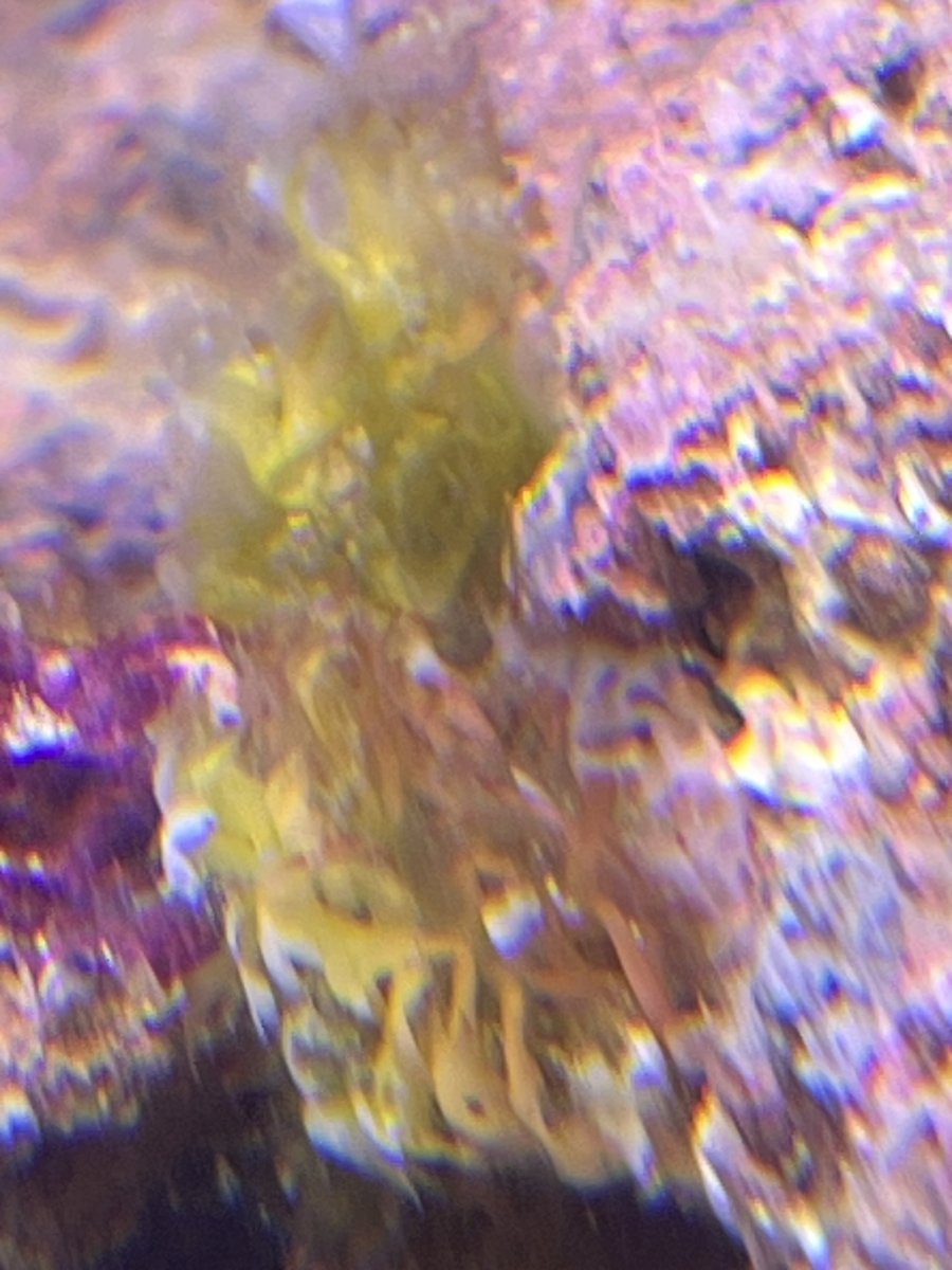 IMG_2902.jpeg