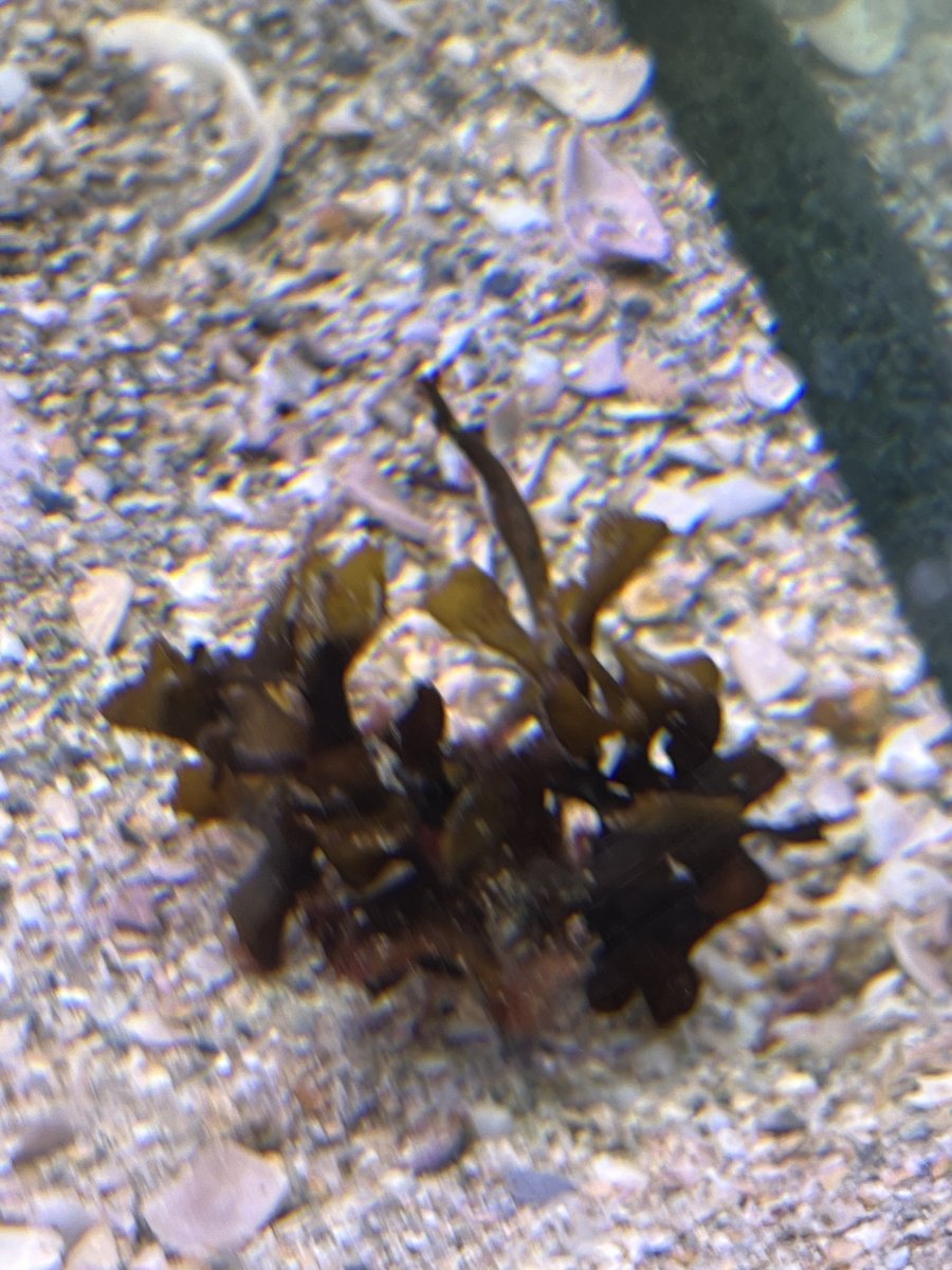 IMG_2903.jpeg