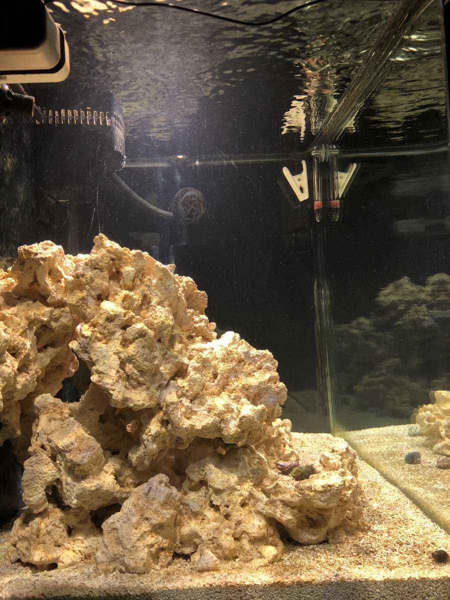 IMG_2914.jpeg