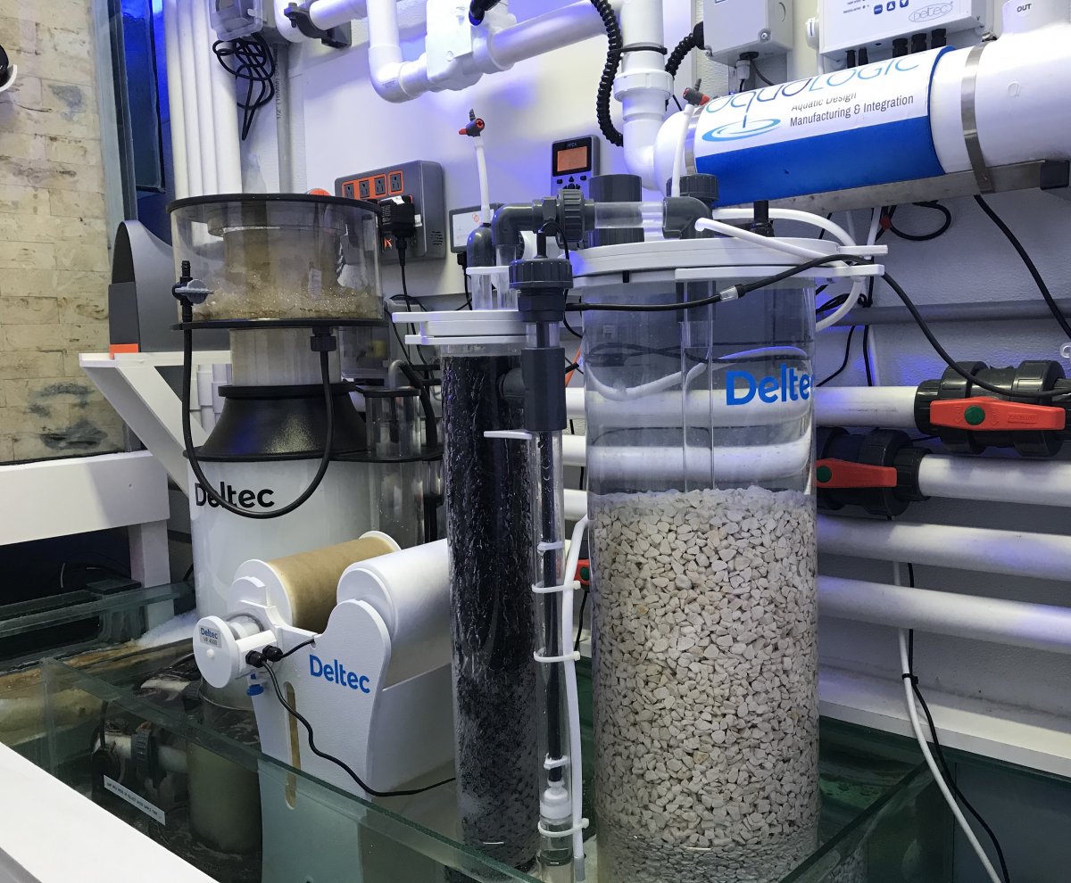 QUESTION OF THE DAY - Filtration: How many ways do you filter your reef ...