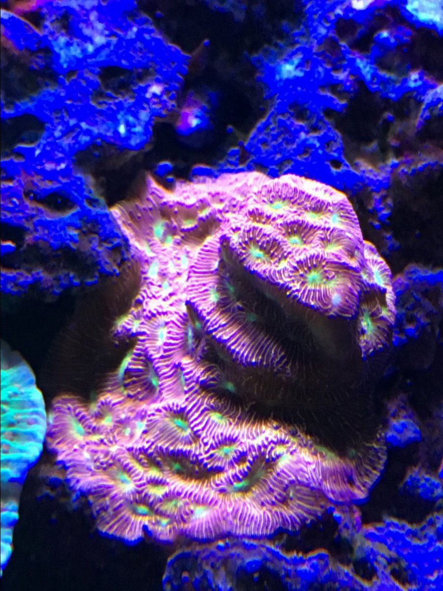 IMG_2934.JPG