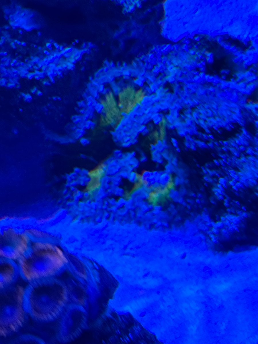 IMG_2943.jpeg