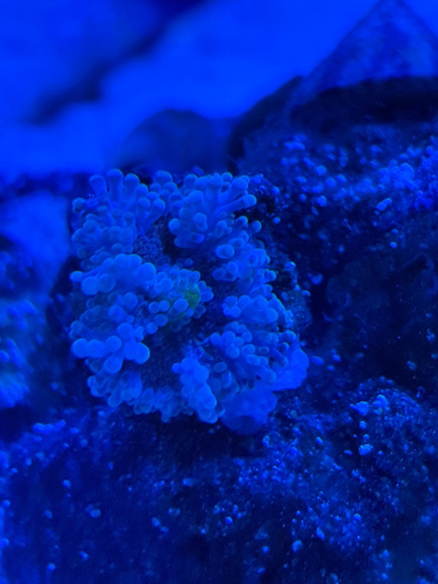 IMG_2945.jpeg