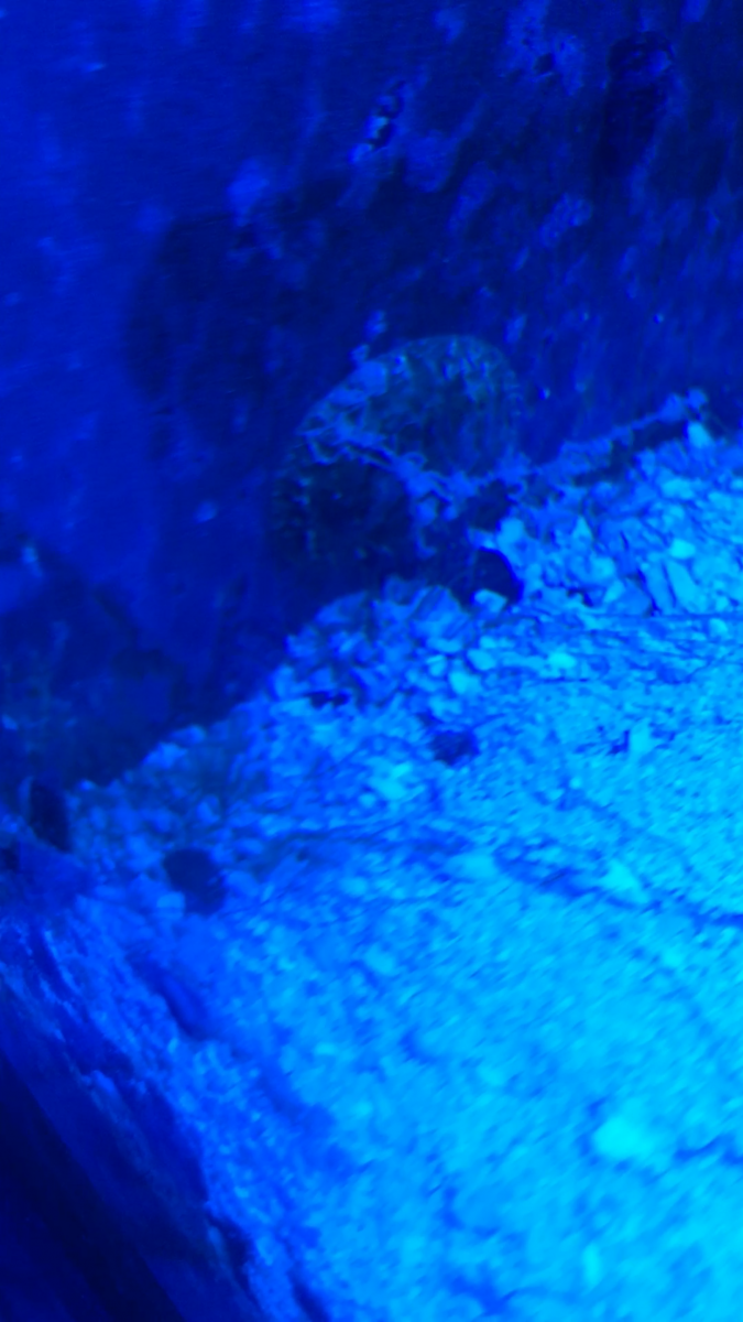 IMG_2953.PNG