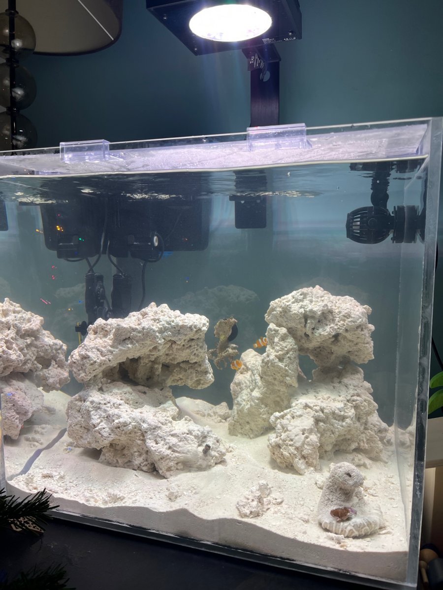 Aqua Sponge Aquarium Floor Mat - Extra Large (48 x 24) - Cobalt 