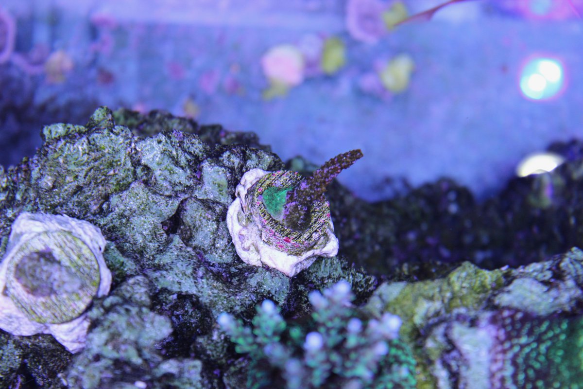 IMG_3013.jpeg