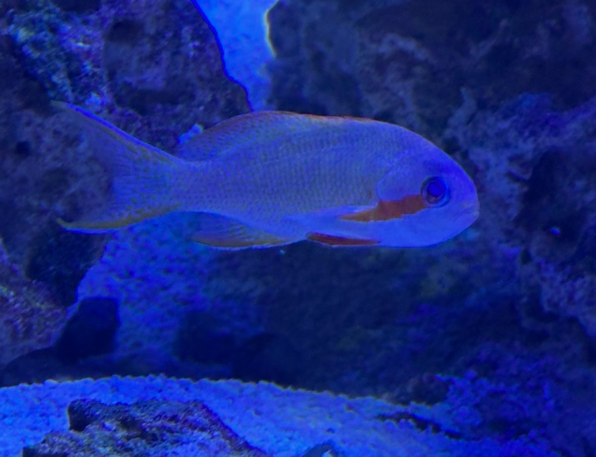 IMG_3016.jpeg