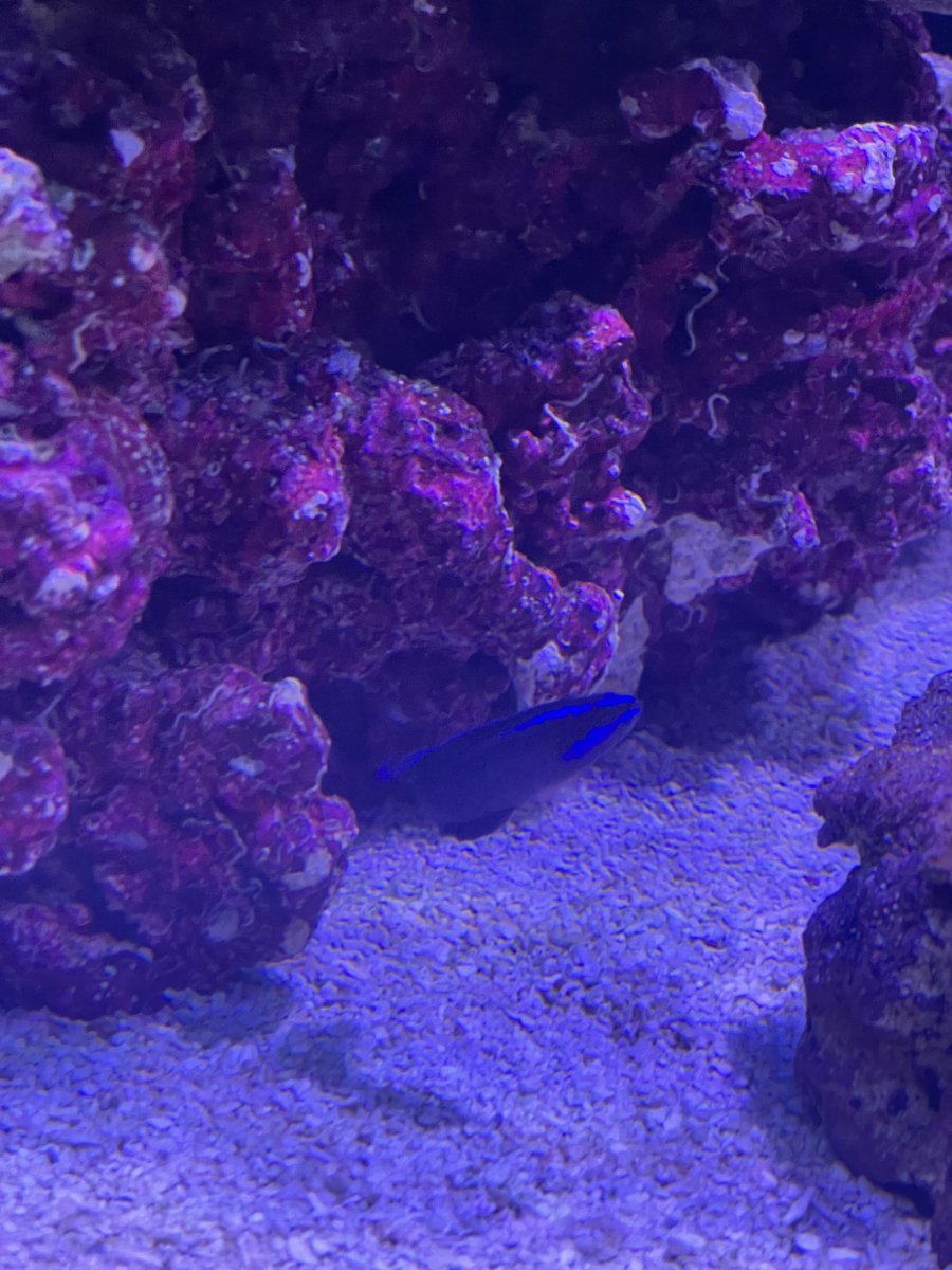 IMG_3018.jpeg