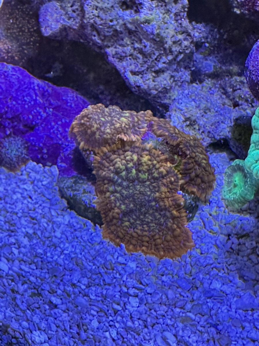 IMG_3023.jpeg