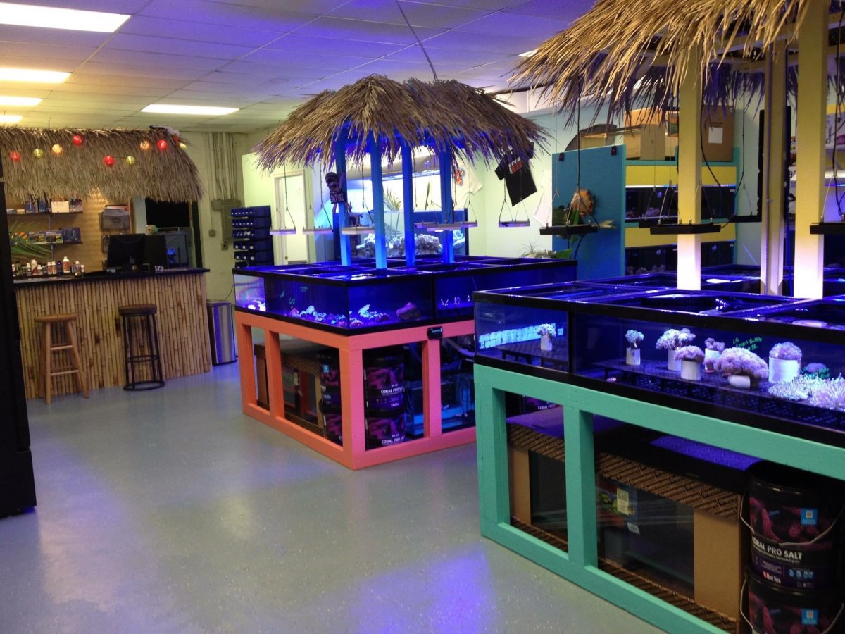 Shout out to your Local Fish Store! | Page 5 | Reef2Reef