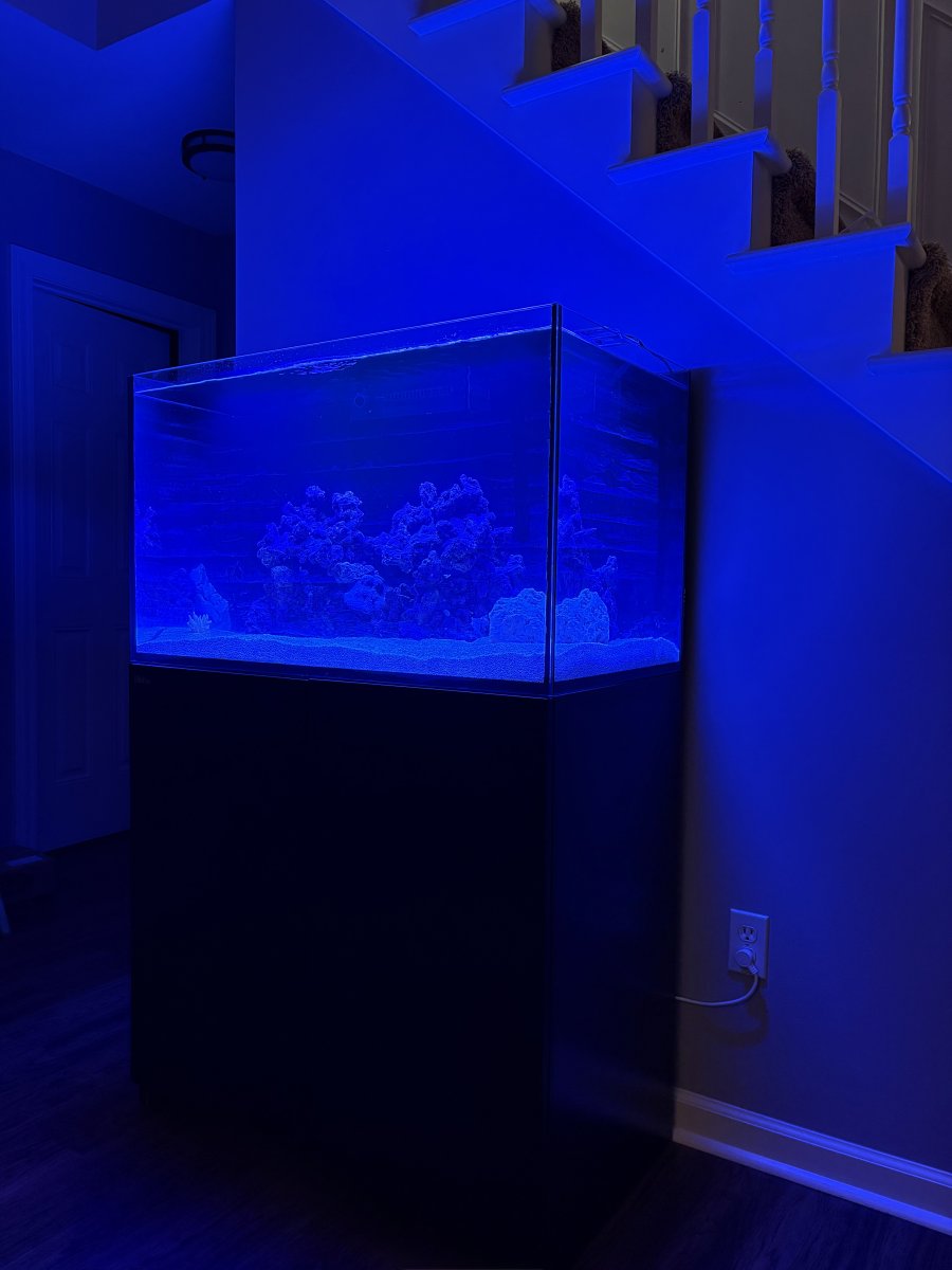 IMG_3029.jpeg
