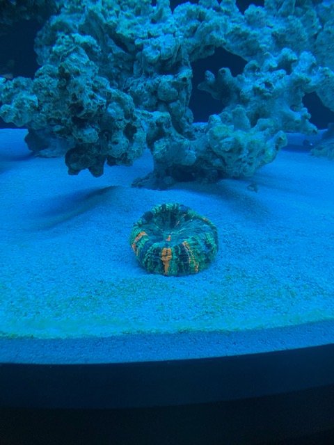 IMG_3033.jpg