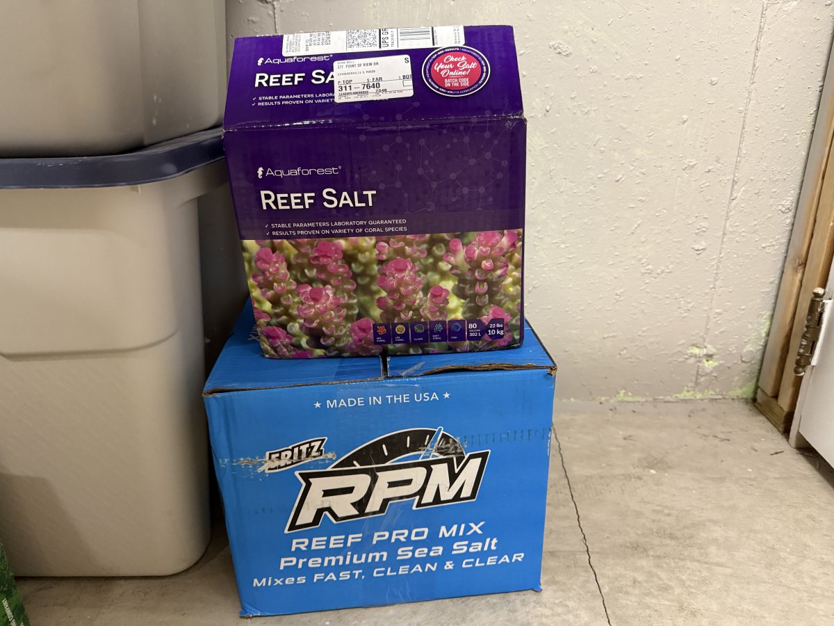 IMG_3045.jpeg
