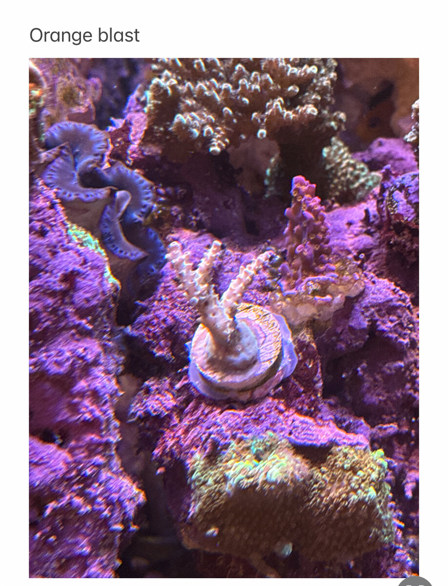 IMG_3060.jpeg