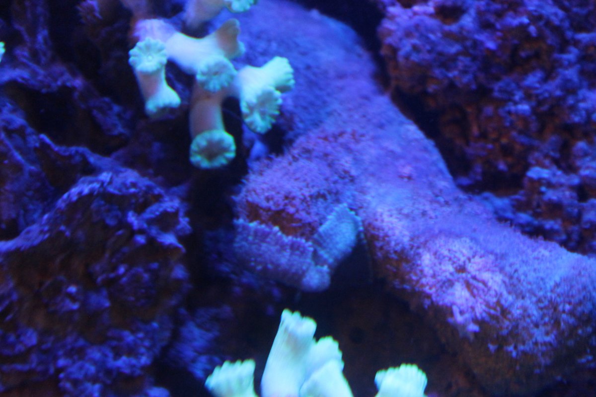 IMG_3072.JPG