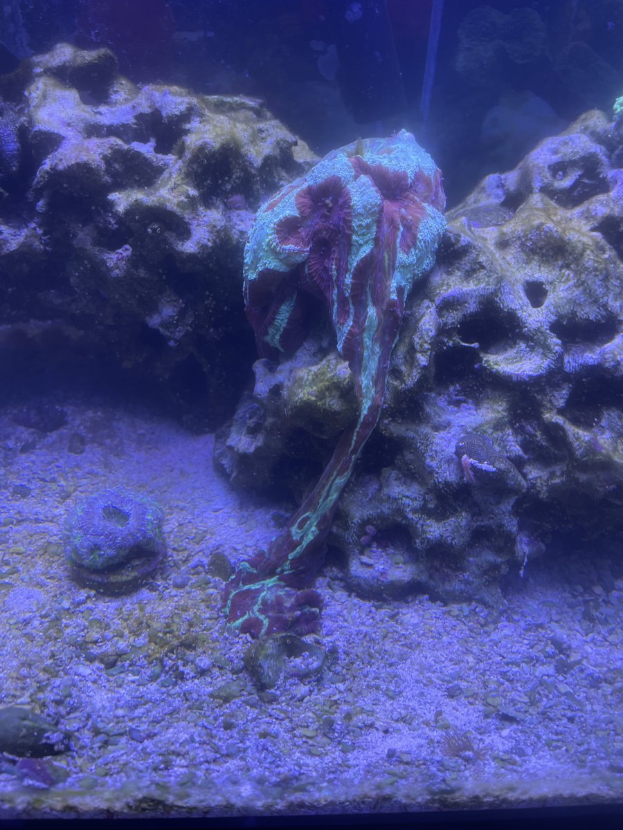 IMG_3074.jpeg