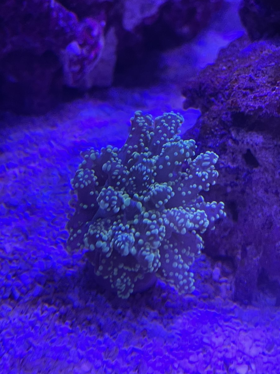 IMG_3076.jpeg