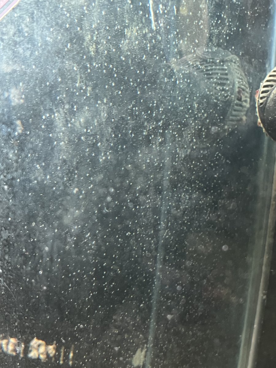 IMG_3085.jpeg
