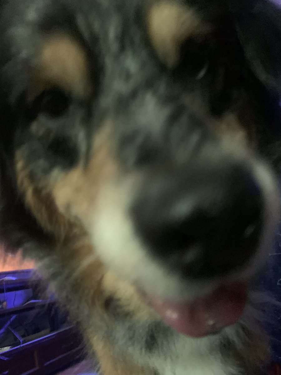 IMG_3109.jpeg