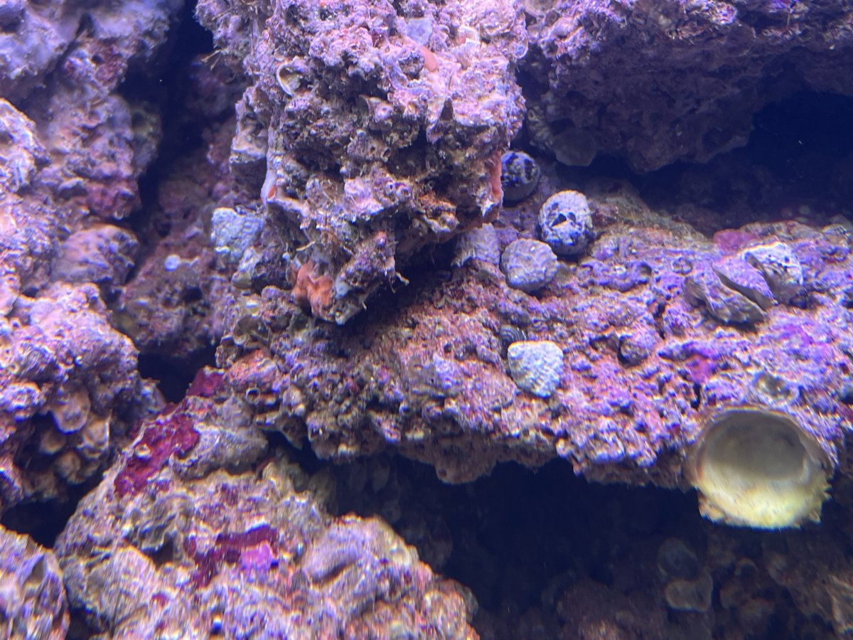 IMG_3136.jpeg