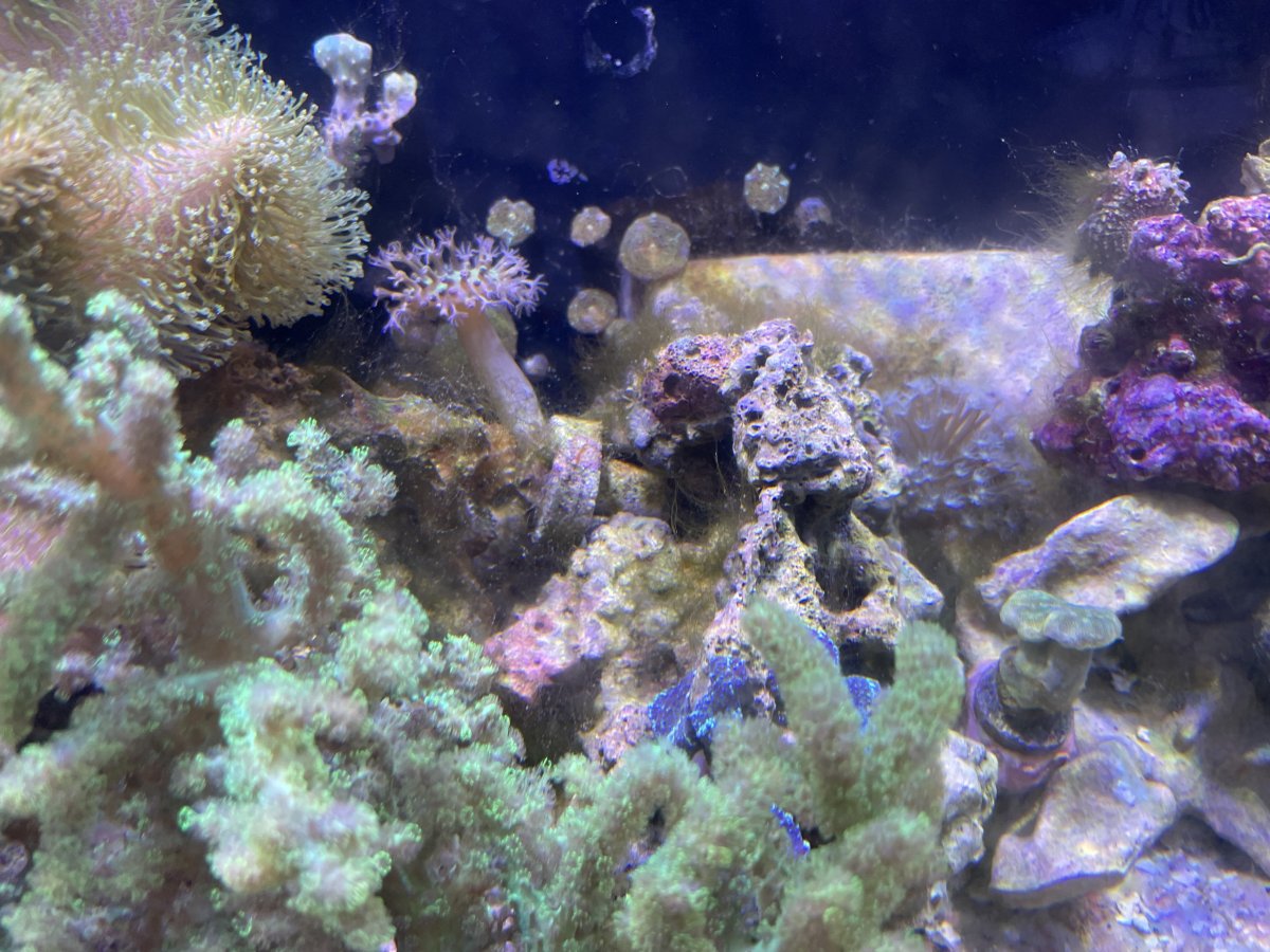 IMG_3138.jpeg