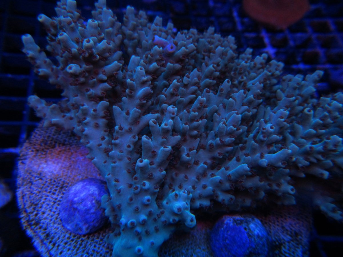 IMG_3164.JPG