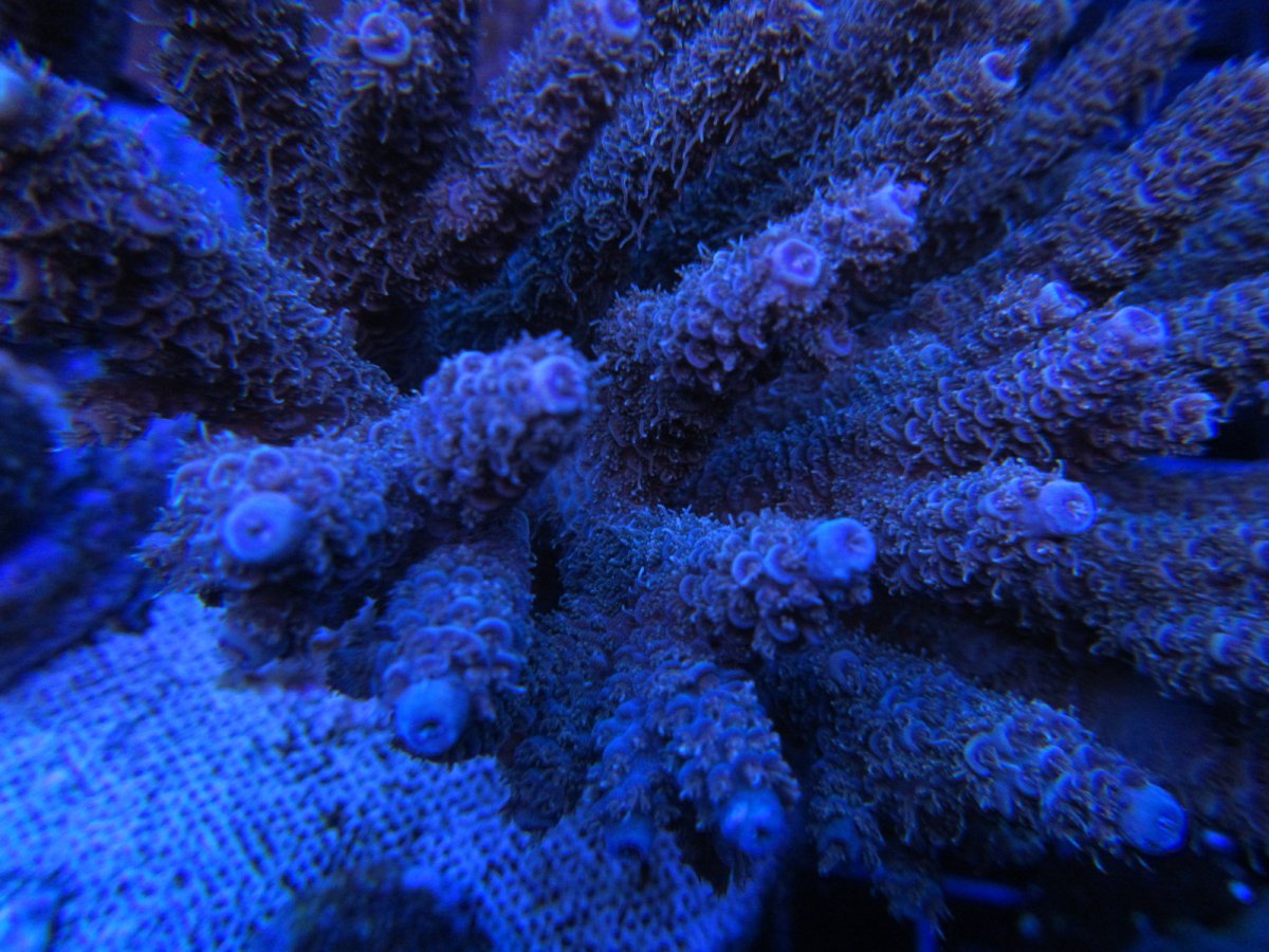 IMG_3165.JPG