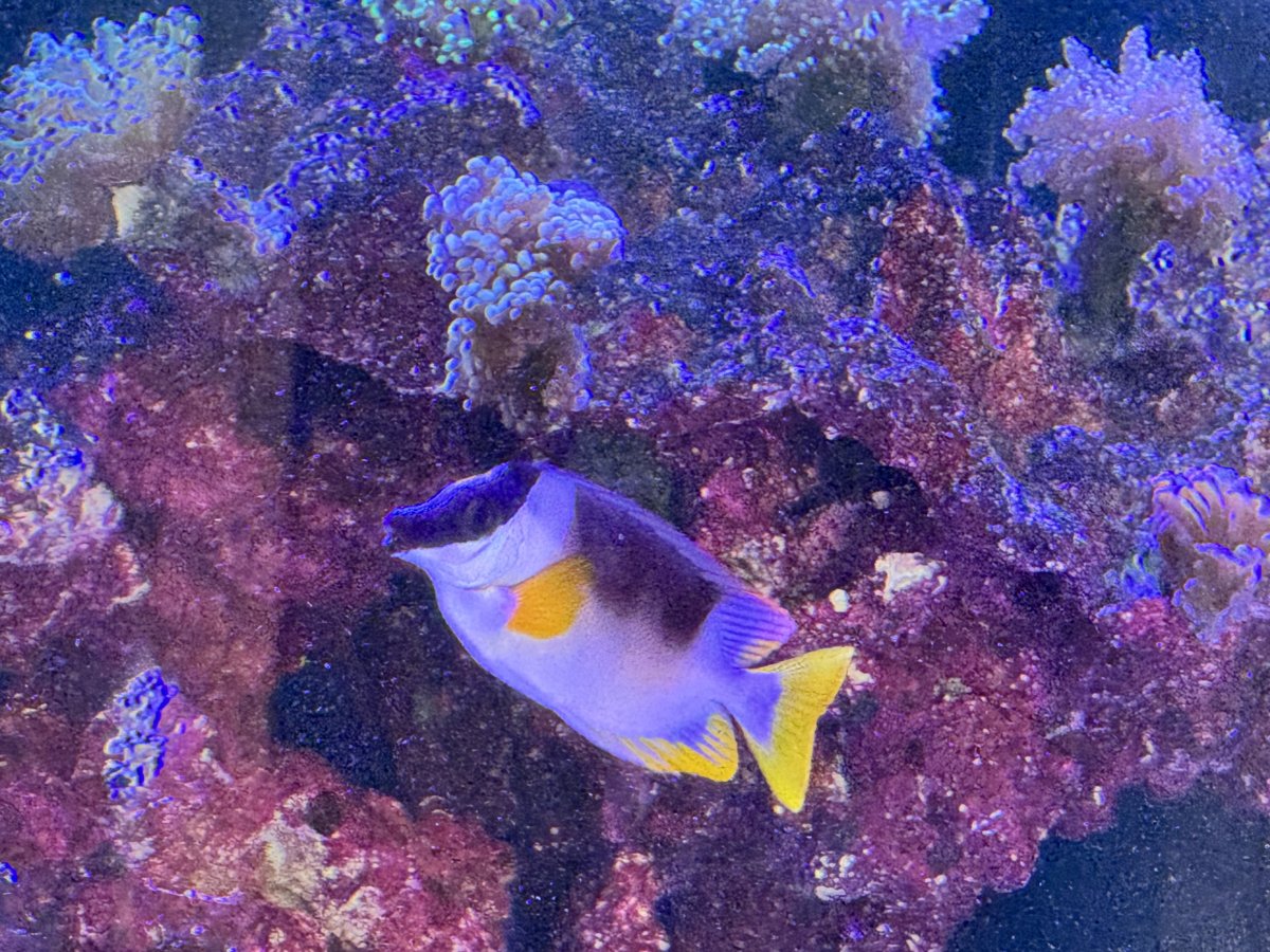IMG_3166.jpeg