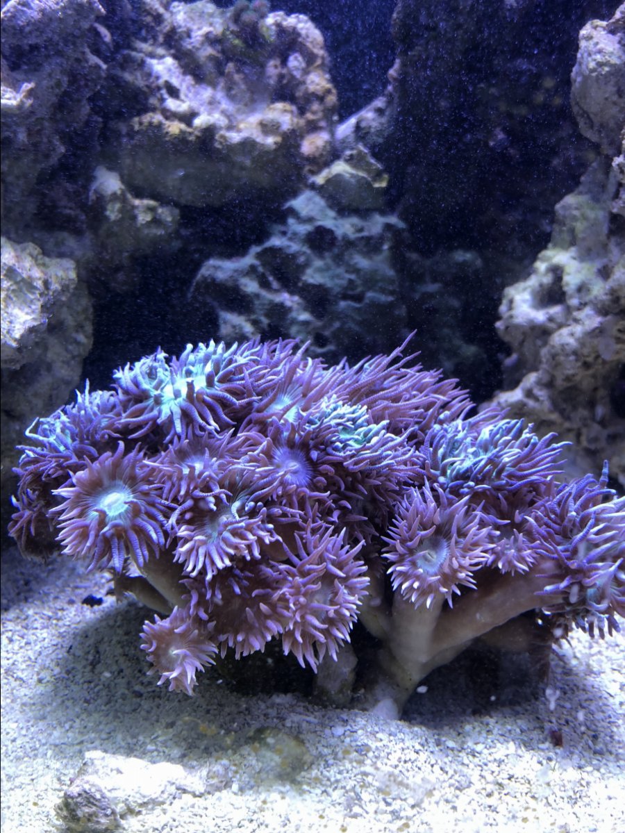 IMG_3181.JPEG