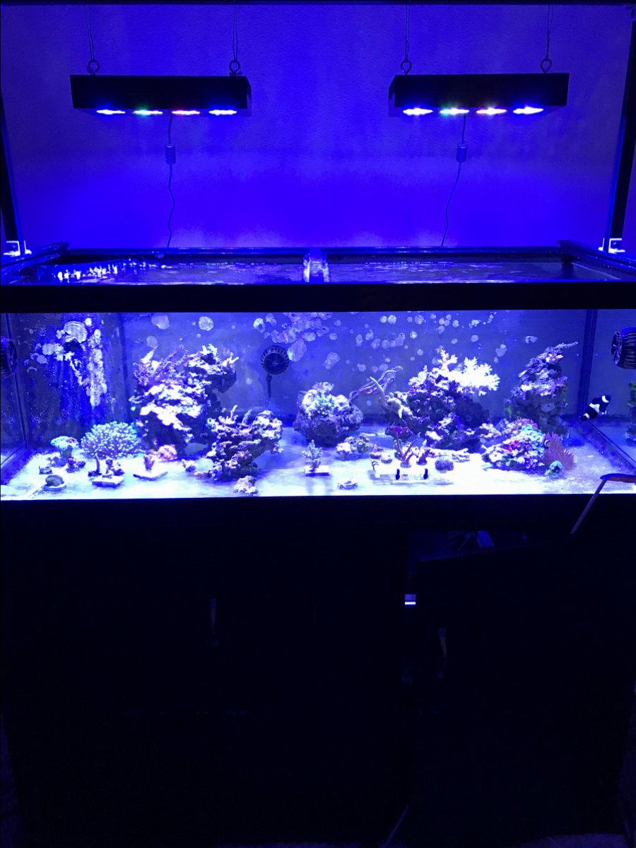IMG_3183.JPG