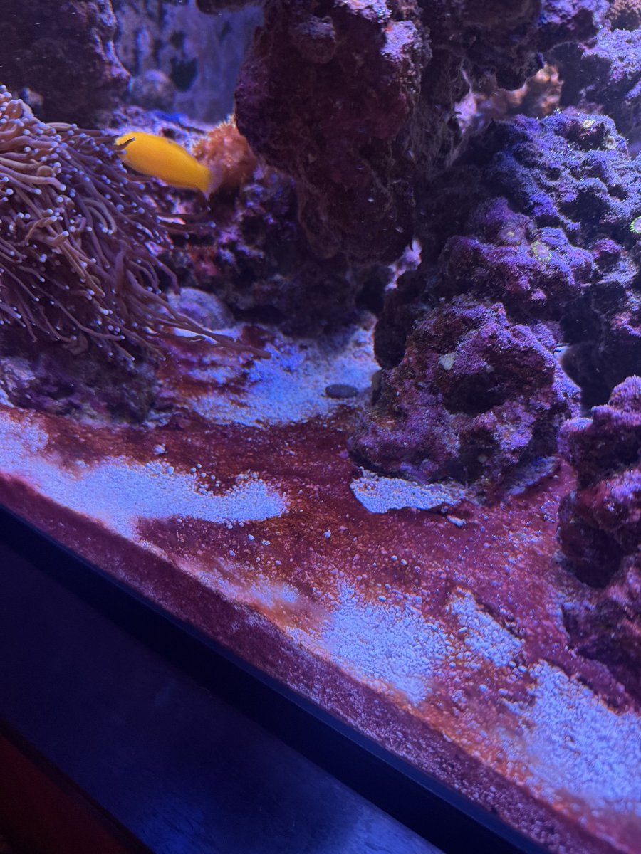 IMG_3184.jpeg