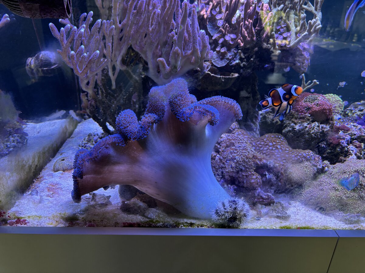 IMG_3185.jpeg