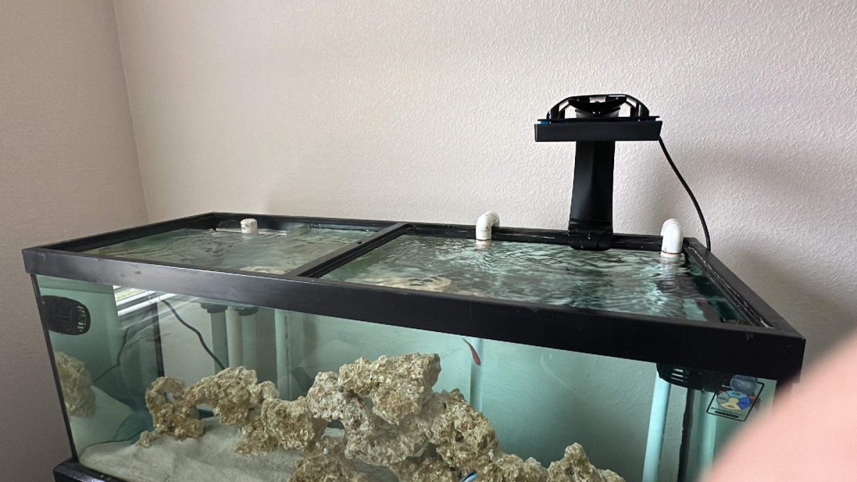 75 gallon hot sale aquarium hood