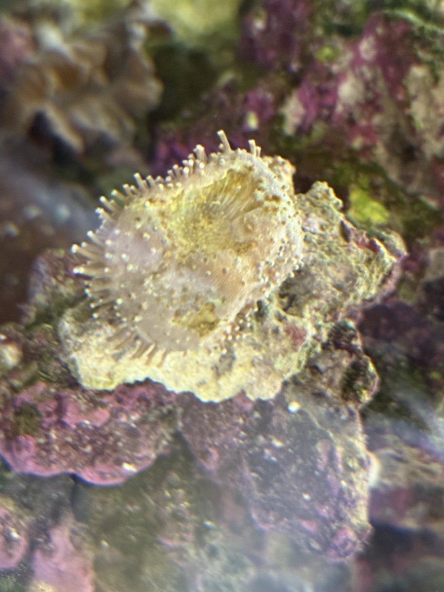 IMG_3199.jpeg