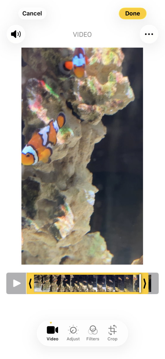 IMG_3206.png