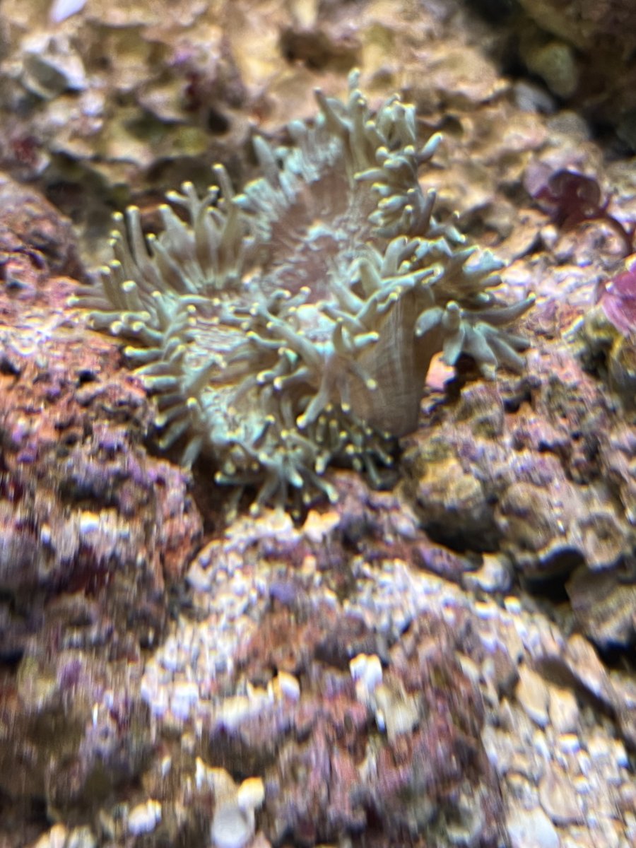 IMG_3226.jpeg