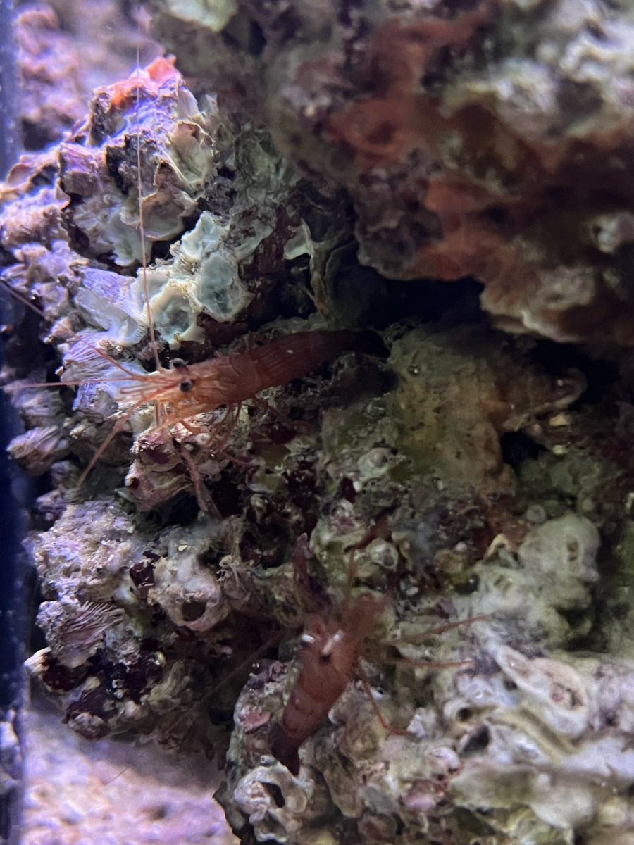 IMG_3236.jpeg
