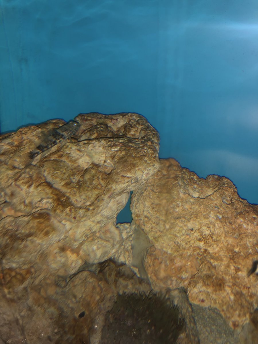 IMG_3245.jpeg