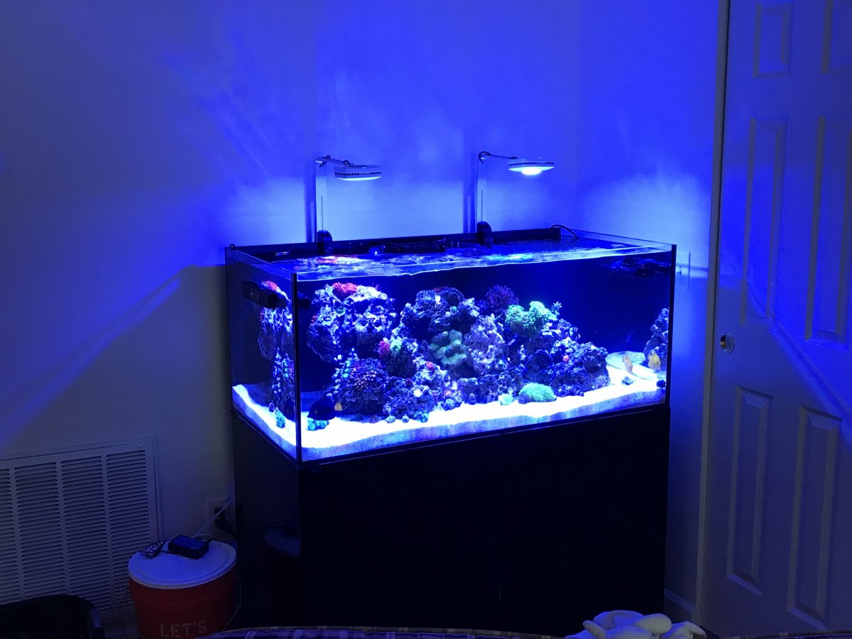 Tank Breakdown | REEF2REEF Saltwater and Reef Aquarium Forum