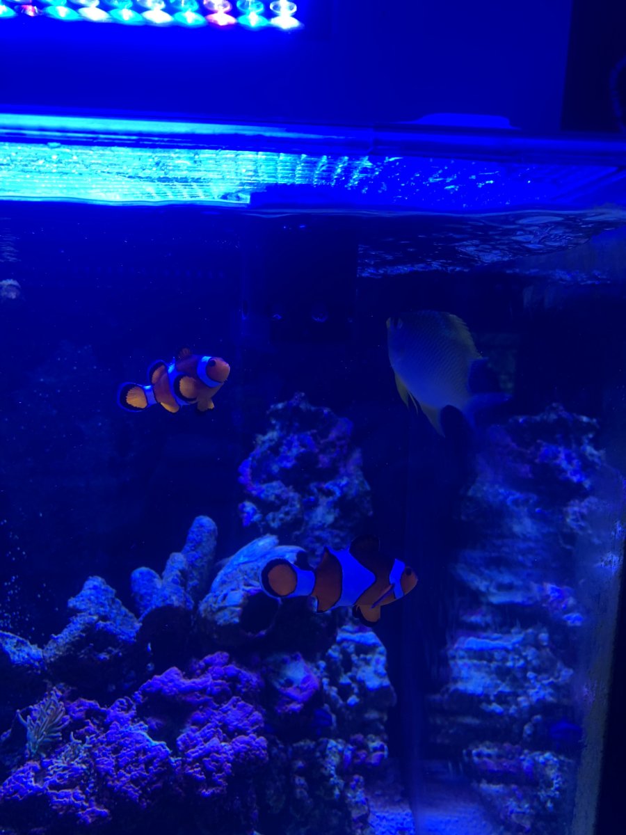 IMG_3273.jpeg