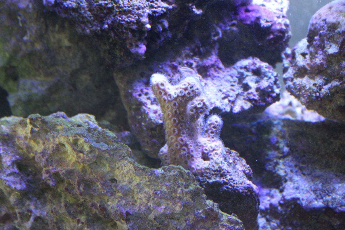 IMG_3274.JPG