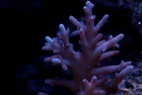 IMG_3285.JPG