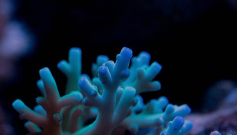 IMG_3299.JPG