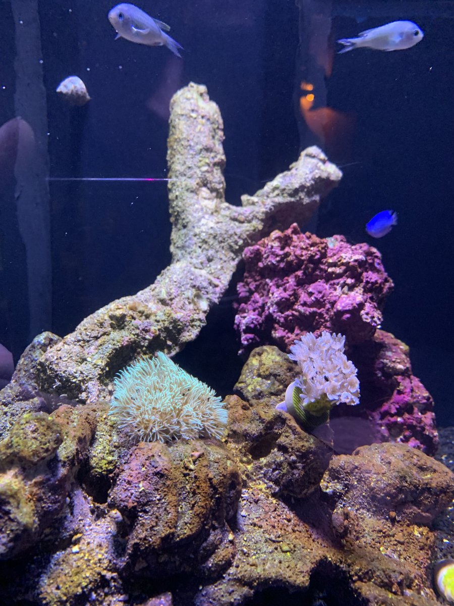 IMG_3300.jpeg