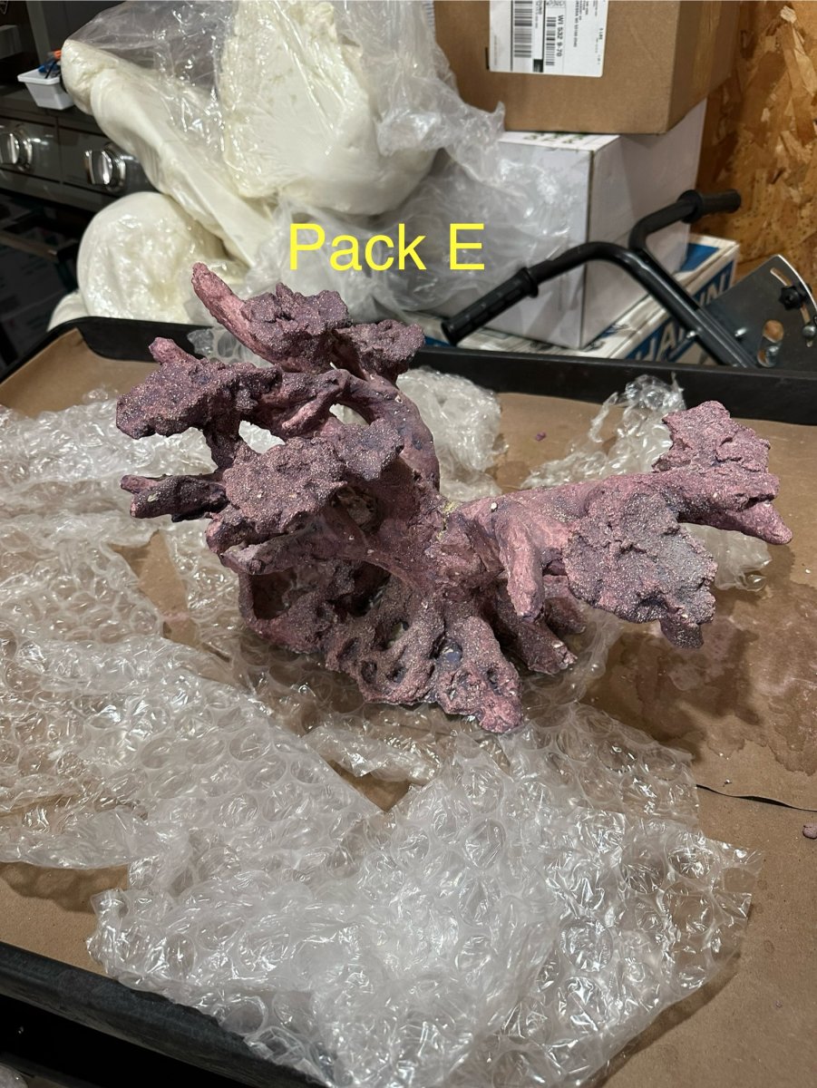 IMG_3302.jpeg