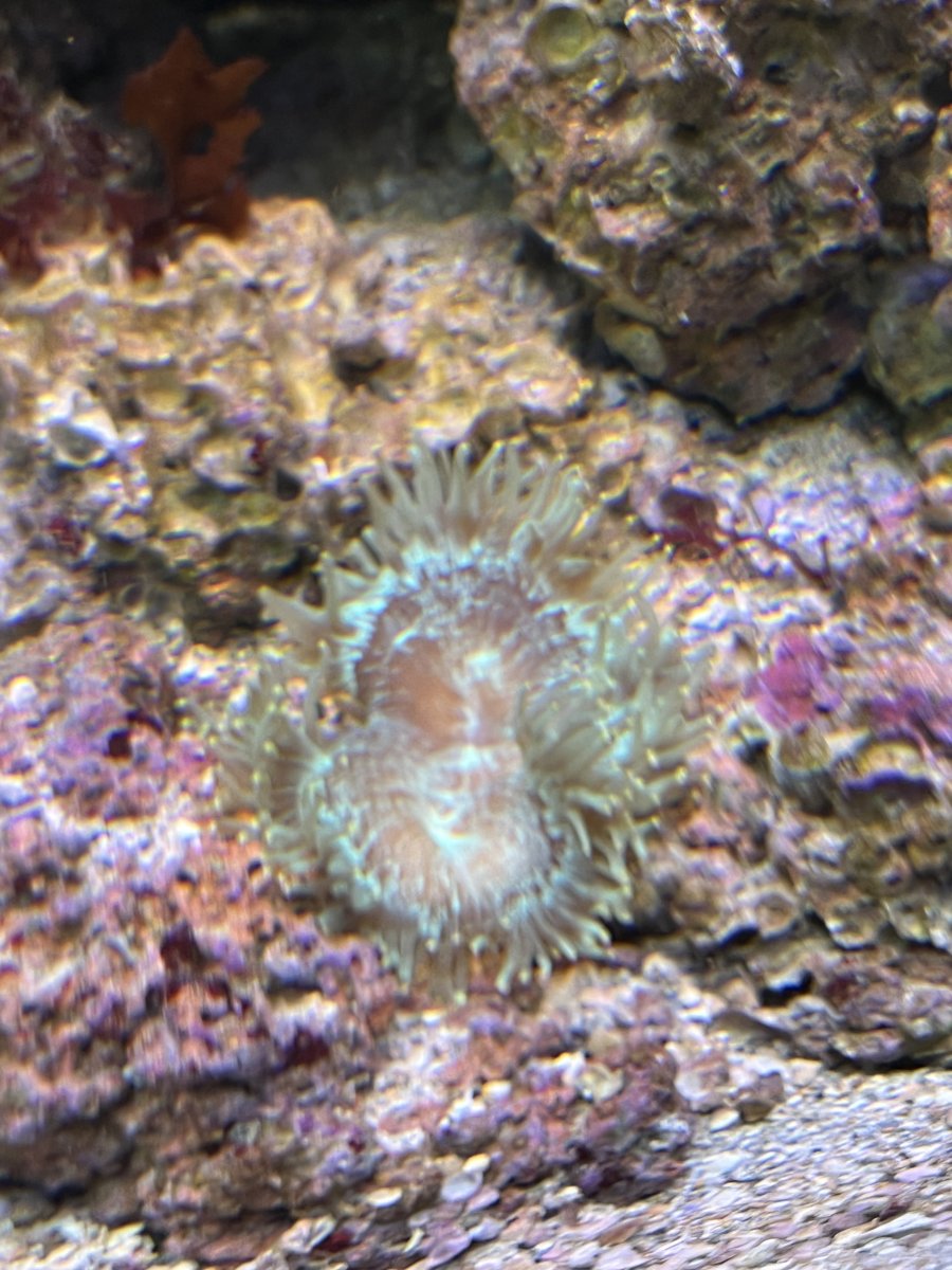 IMG_3303.jpeg