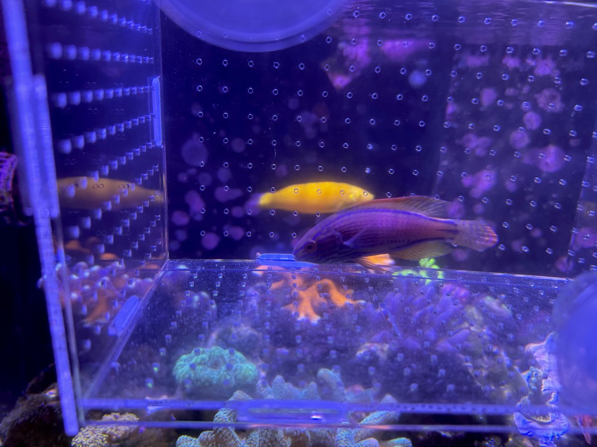 IMG_3304.jpeg